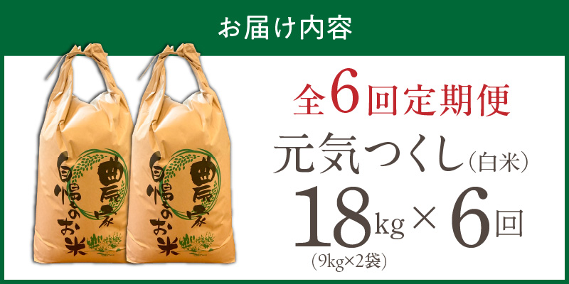 【定期便6回】【令和8年産 新米】福岡県産ブランド米元気つくし 白米 18kg×6回 _  元気つくし 18kg  お届け回数 6回 定期便 福岡県産 ブランド米 精米 新米 福岡生まれ 品種 香り豊か ふっくら 食感 ご飯 白ご飯 おにぎり 弁当 お米 食品 お取り寄せ 九州 久留米市産 福岡県 久留米市 送料無料 _Tk113-06 6回