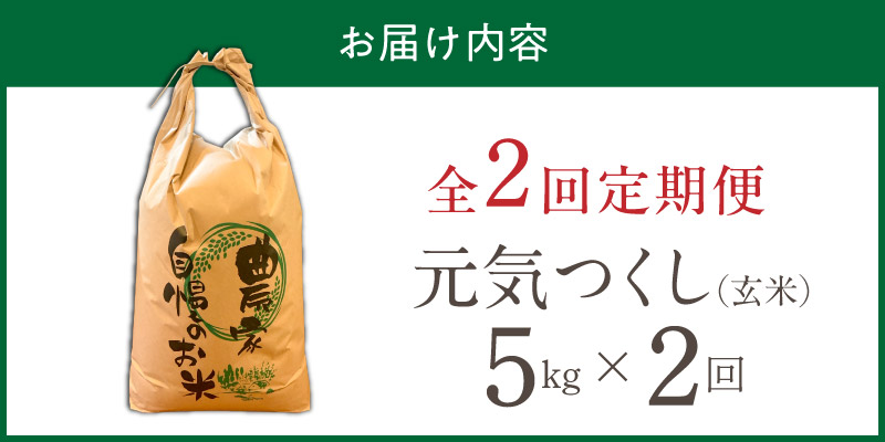 【定期便2回】【令和8年産 新米】福岡県産ブランド米元気つくし 玄米 5kg×2回 _  元気つくし 5kg お届け回数 2回 定期便 福岡県産 ブランド米 新米 福岡生まれ 品種 香り豊か ふっくら 食感 ご飯 おにぎり 弁当 お米 食品 お取り寄せ 九州 久留米市産 福岡県 久留米市 送料無料 _Tk115-02 2回