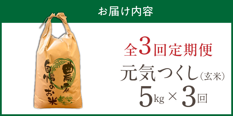 【定期便3回】【令和8年産 新米】福岡県産ブランド米元気つくし 玄米 5kg×3回 _  元気つくし 5kg お届け回数 3回 定期便 福岡県産 ブランド米 新米 福岡生まれ 品種 香り豊か ふっくら 食感 ご飯 おにぎり 弁当 お米 食品 お取り寄せ 九州 久留米市産 福岡県 久留米市 送料無料 _Tk115-03 3回