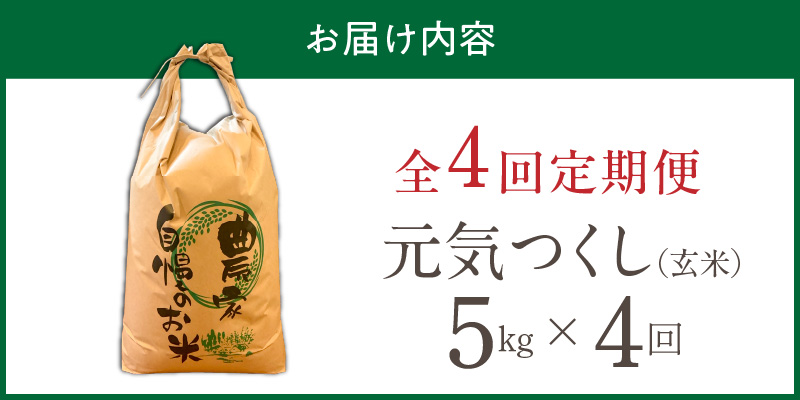【定期便4回】【令和8年産 新米】福岡県産ブランド米元気つくし 玄米 5kg×4回 _  元気つくし 5kg お届け回数 4回 定期便 福岡県産 ブランド米 新米 福岡生まれ 品種 香り豊か ふっくら 食感 ご飯 おにぎり 弁当 お米 食品 お取り寄せ 九州 久留米市産 福岡県 久留米市 送料無料 _Tk115-04 4回