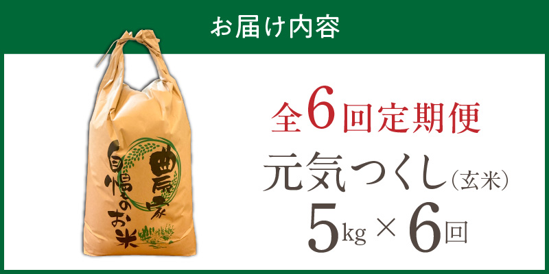 【定期便6回】【令和8年産 新米】福岡県産ブランド米元気つくし 玄米 5kg×6回 _  元気つくし 5kg お届け回数 6回 定期便 福岡県産 ブランド米 新米 福岡生まれ 品種 香り豊か ふっくら 食感 ご飯 おにぎり 弁当 お米 食品 お取り寄せ 九州 久留米市産 福岡県 久留米市 送料無料 _Tk115-06 6回