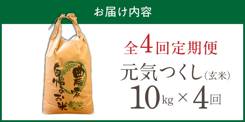 【定期便4回】【令和8年産 新米】福岡県産ブランド米元気つくし 玄米 10kg×4回 _  元気つくし 10kg お届け回数 4回 定期便 福岡県産 ブランド米 新米 福岡生まれ 品種 香り豊か ふっくら 食感 ご飯 おにぎり 弁当 お米 食品 お取り寄せ 九州 久留米市産 福岡県 久留米市 送料無料 _Tk116-04 4回