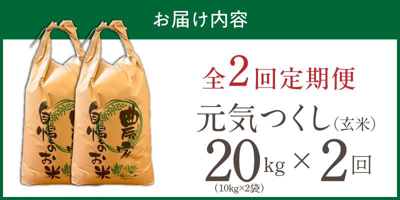 【定期便2回】【令和8年産 新米】福岡県産ブランド米元気つくし 玄米 20kg×2回 _  元気つくし 20kg お届け回数 2回 定期便 福岡県産 ブランド米 新米 福岡生まれ 品種 香り豊か ふっくら 食感 ご飯 おにぎり 弁当 お米 食品 お取り寄せ 九州 久留米市産 福岡県 久留米市 送料無料 _Tk117-02 2回