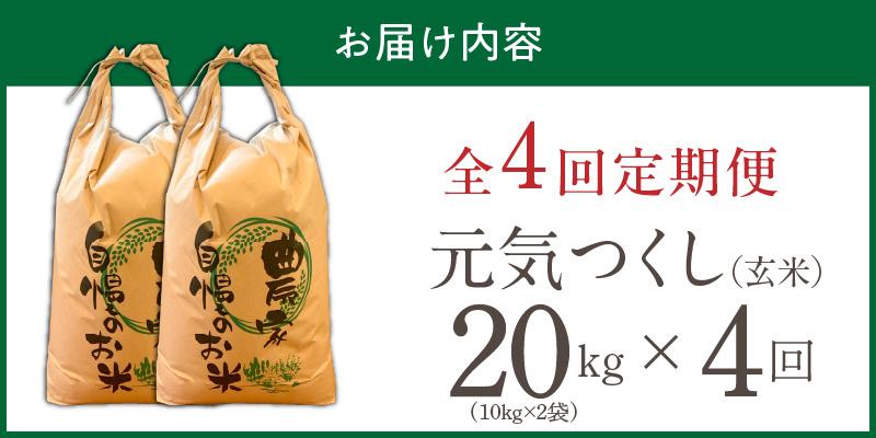 【定期便4回】【令和8年産 新米】福岡県産ブランド米元気つくし 玄米 20kg×4回 _  元気つくし 20kg お届け回数 4回 定期便 福岡県産 ブランド米 新米 福岡生まれ 品種 香り豊か ふっくら 食感 ご飯 おにぎり 弁当 お米 食品 お取り寄せ 九州 久留米市産 福岡県 久留米市 送料無料 _Tk117-04 4回