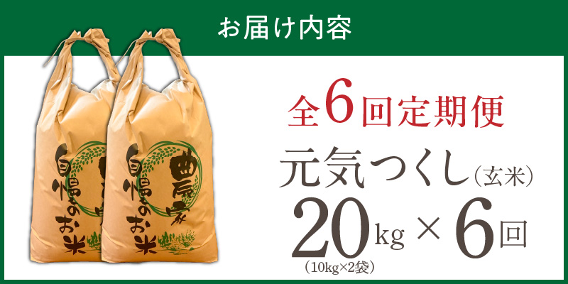 【定期便6回】【令和8年産 新米】福岡県産ブランド米元気つくし 玄米 20kg×6回 _  元気つくし 20kg お届け回数 6回 定期便 福岡県産 ブランド米 新米 福岡生まれ 品種 香り豊か ふっくら 食感 ご飯 おにぎり 弁当 お米 食品 お取り寄せ 九州 久留米市産 福岡県 久留米市 送料無料 _Tk117-06 6回