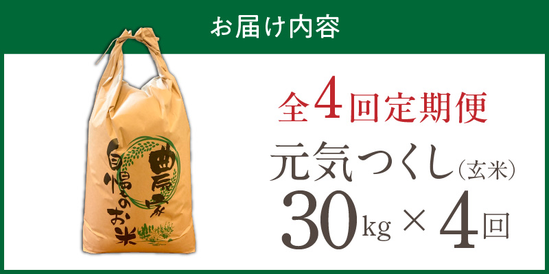 【定期便4回】【令和8年産 新米】福岡県産ブランド米元気つくし 玄米 30kg×4回 _  元気つくし 30kg お届け回数 4回 定期便 福岡県産 ブランド米 新米 福岡生まれ 品種 香り豊か ふっくら 食感 ご飯 おにぎり 弁当 お米 食品 お取り寄せ 九州 久留米市産 福岡県 久留米市 送料無料 _Tk118-04 4回