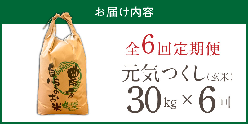【定期便6回】【令和8年産 新米】福岡県産ブランド米元気つくし 玄米 30kg×6回 _  元気つくし 30kg お届け回数 6回 定期便 福岡県産 ブランド米 新米 福岡生まれ 品種 香り豊か ふっくら 食感 ご飯 おにぎり 弁当 お米 食品 お取り寄せ 九州 久留米市産 福岡県 久留米市 送料無料 _Tk118-06 6回