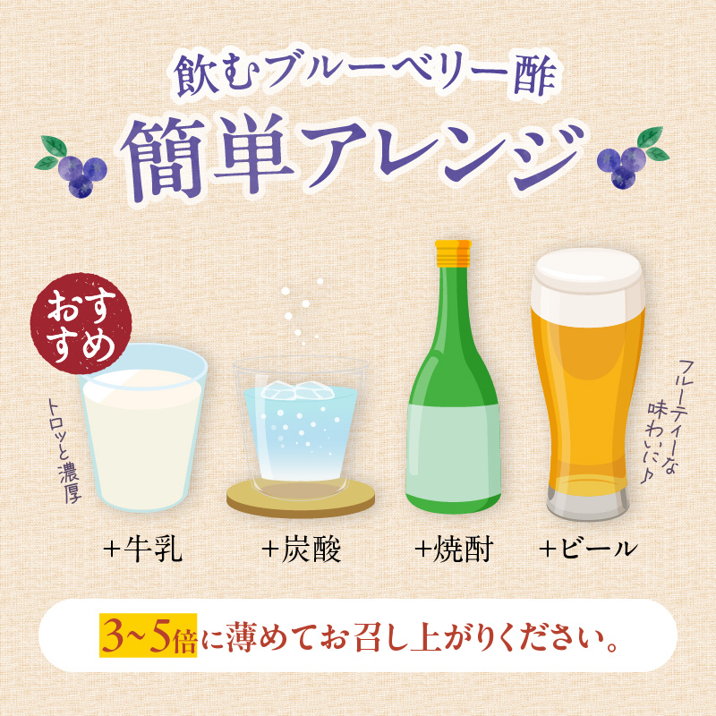 飲むブルーベリー酢　2本_お酢 ドリンク ブルーベリー 300ml 2本 飲むお酢 ブルーベリー酢 甘くて飲みやすい 希釈 3倍～5倍 果汁 アントシアニン 疲れ目予防 腸内環境改善 簡単 アレンジ 牛乳 炭酸 お酒 瓶 果実酒 お酢飲料 飲料 飲み物 健康 福岡県 久留米市 お取り寄せ 送料無料_Ex218