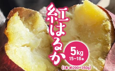 紅はるかさつまいも_さつまいも 紅はるか 国産 5kg 約 200～350g 15本 ～ 18本 甘い 糖度 高い 高糖度 1ヶ月 熟成 濃厚 味わい しっとり ホクホク 常温発送 宇佐川農園 芋 焼き芋 福岡県 久留米市 お取り寄せ お取り寄せグルメ 野菜 送料無料_Gx035