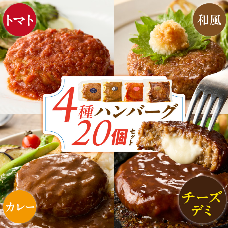 ハンバーグ食べ比べ20個セット_4種 20個 チーズデミ 和風 トマトソース カレーソース ハンバーグ 各5個 冷凍 温めるだけ 湯煎 レンジ 電子レンジ バラエティ 個包装 小分け 食べ比べ お弁当 簡単調理 お取り寄せ お取り寄せグルメ 福岡県 久留米市 送料無料_Ax405 通常発送