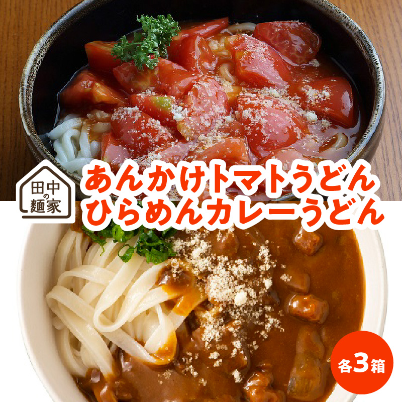 田中の麺家あんかけトマトうどん・ひらめんカレーうどん各3箱_田中の麺家 あんかけトマトうどん ひらめんカレーうどん 各 ３箱 詰め合わせ 国産たまねぎたっぷり 濃厚カレールー カレーうどん トマトうどん 食べ比べ 食品 加工食品 粉もの 麺 常温 お取り寄せ  お取り寄せグルメ 福岡県 久留米市 送料無料_Bu004