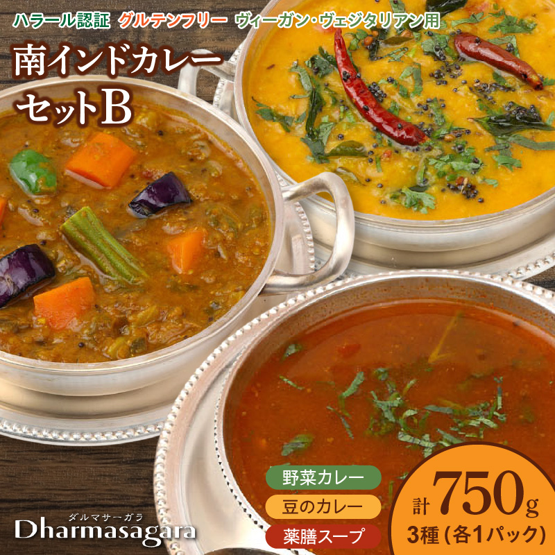 ダルマサーガラ　南インドカレーセットB_南インドカレー セット 3種 各1パック 計750g カレー ダルマサーガラ 野菜カレー 豆のカレー 薬膳スープ 中辛 野菜 豆 ムングダル 薬膳 酸味 スープ 本場 インドカレー 食品 南インド料理の専門店 冷凍 お取り寄せ 福岡県 久留米市 送料無料_Ca037