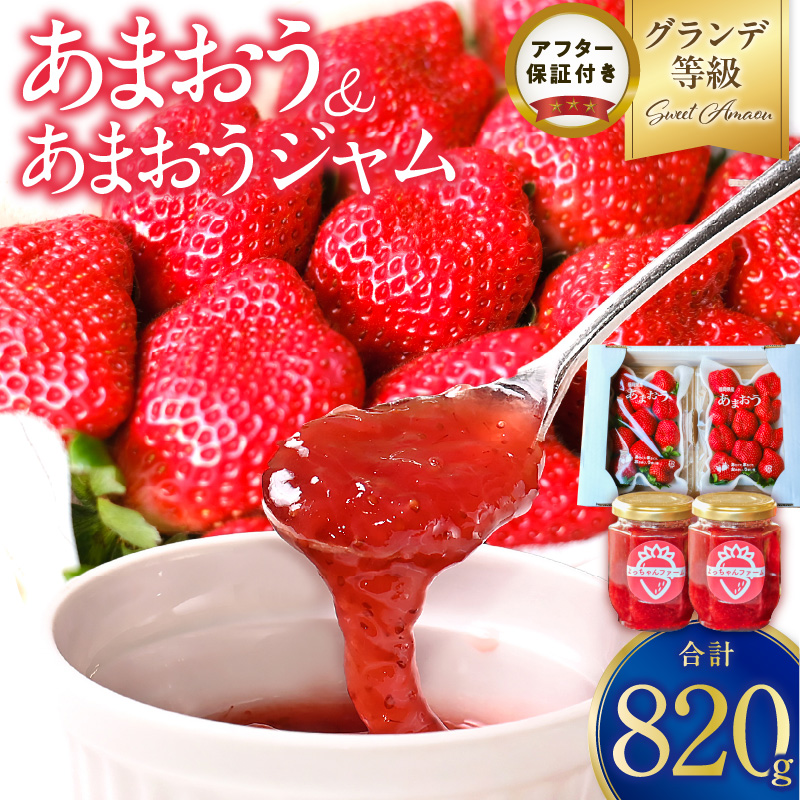 いちご満喫 あまおう2パック&あまおうジャム２瓶のセット 1月から発送_いちご満喫 あまおう2パック&あまおうジャム２瓶のセット 1月から発送_Ca041