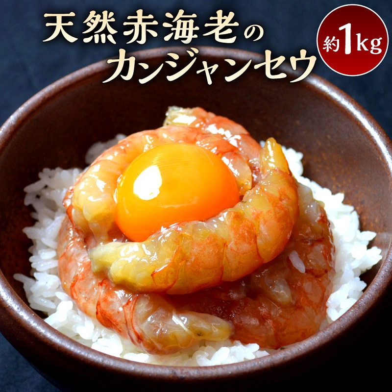 赤海老カンジャンセウ_カンジャンセウ 約 1kg 海老 韓国料理 カンジャンセウ丼 天然赤海老 特製 醤油ダレ漬け 本場 韓国 海産物 海鮮料理 惣菜 おつまみ ご飯のお供 おかず 食品 冷凍 お取り寄せ お取り寄せグルメ 福岡県 久留米市 送料無料_Cs324