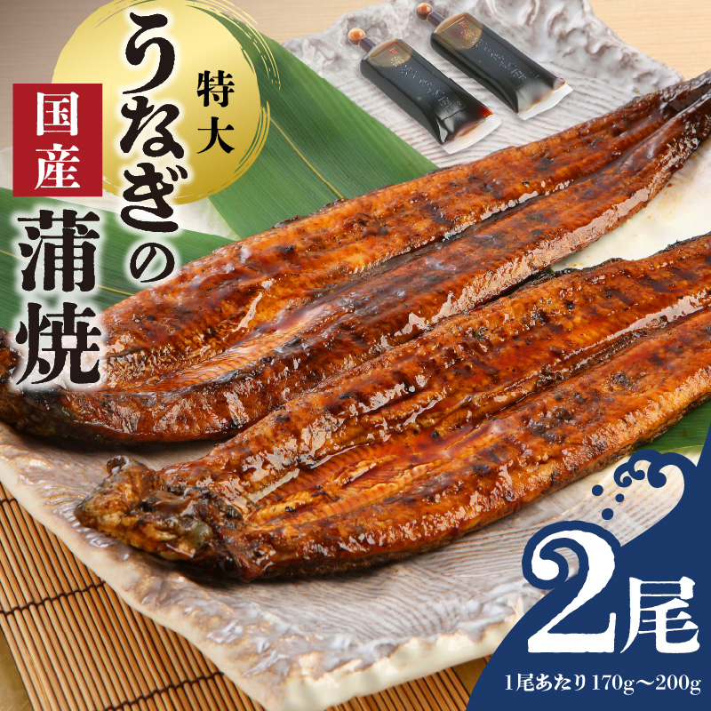 うなぎの蒲焼 2尾セット（特大サイズ 一尾 170g～200g）_うなぎ 蒲焼 2尾 セット 特大サイズ 一尾170g～200g たれ付き 鰻専門問屋 樋口商店 鹿児島 宮崎 国産 ジャポニカ種 真空パック ギフト お取り寄せ グルメ うな丼 うな重 ひつまぶし お土産 手土産 贈り物 プレゼント お中元 職人 送料無料_Cu001