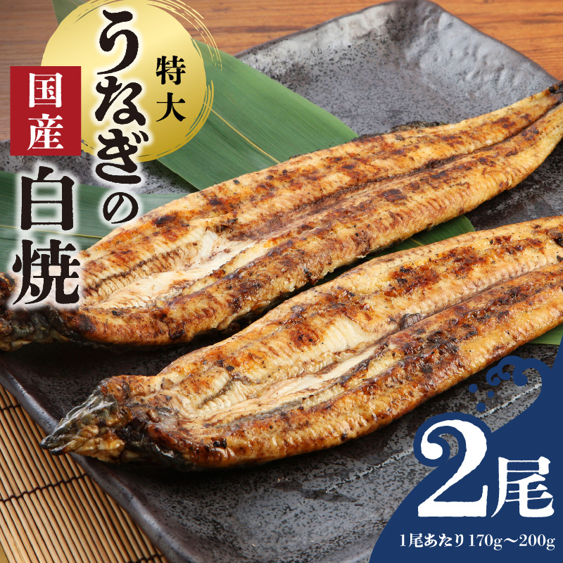 うなぎの白焼 2尾セット（特大サイズ 一尾 170g～200g）_国産 うなぎ 白焼 特大 一尾 170g ～ 200g × 2尾 うなぎ白焼き ひつまぶし 簡単調理 小分け アクセント 柚子胡椒 食品 加工品 魚 魚介類 おかず 惣菜 ご飯のお供 酒の肴 冷凍 パック 樋口商店 福岡県 久留米市 お取り寄せ お取り寄せグルメ 送料無料_Cu002