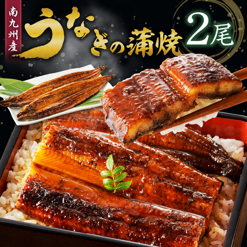 うなぎの蒲焼き2尾セット_皮はパリッと身はジューシー 鰻 蒲焼き 2尾 タレ 南九州産うなぎ こだわり製法 真空パック 冷凍 柳栄館 食品 加工品 国産うなぎ うな丼 うな重 ひつまぶし 土用 丑の日 湯せん レンジ お取り寄せ 福岡県 久留米市 送料無料_Cu015