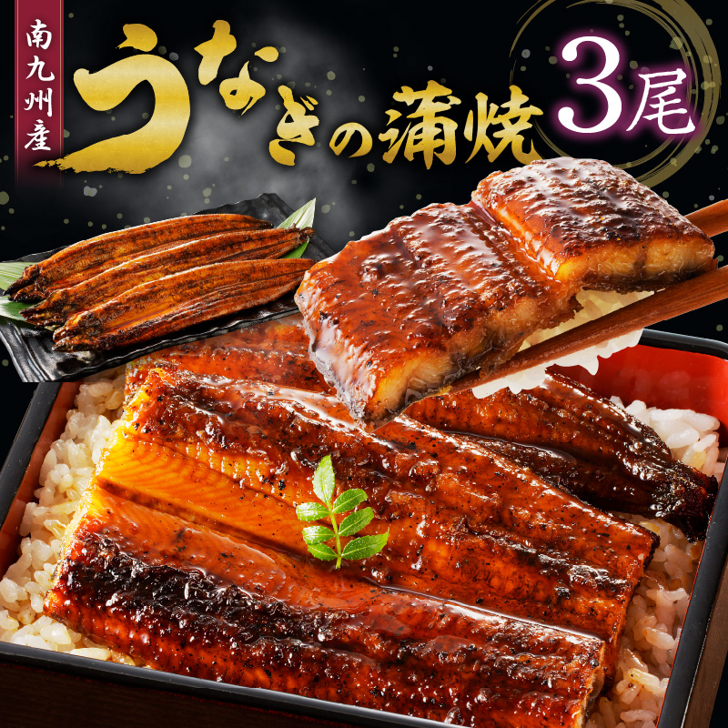 うなぎの蒲焼き3尾セット_うなぎ 蒲焼き 3尾 セット 独自製法 旨味 こだわり タレ付き 南九州産 ふんわり ジューシー 素材厳選 真空パック 便利 湯煎 アレンジ レシピ おつまみ ひつまぶし うな丼 冷凍 食品 加工品 惣菜 贈り物 国産 お取り寄せ 福岡県 久留米市 送料無料_Cu017