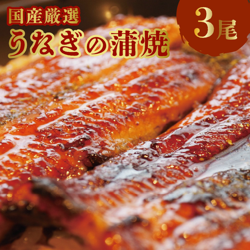 「そう馬」国産厳選うなぎの蒲焼_国産 厳選 うなぎ 蒲焼 約 250g × 3尾 たれ付 甘辛たれ そう馬 簡単調理 グルメ 食品 加工品 魚 魚介類 おかず 惣菜 ご飯のお供 酒の肴 うな丼 ひつまぶし お茶漬け 鰻巻き 冷凍 福岡県 久留米市 お取り寄せ お取り寄せグルメ 送料無料_Cu021