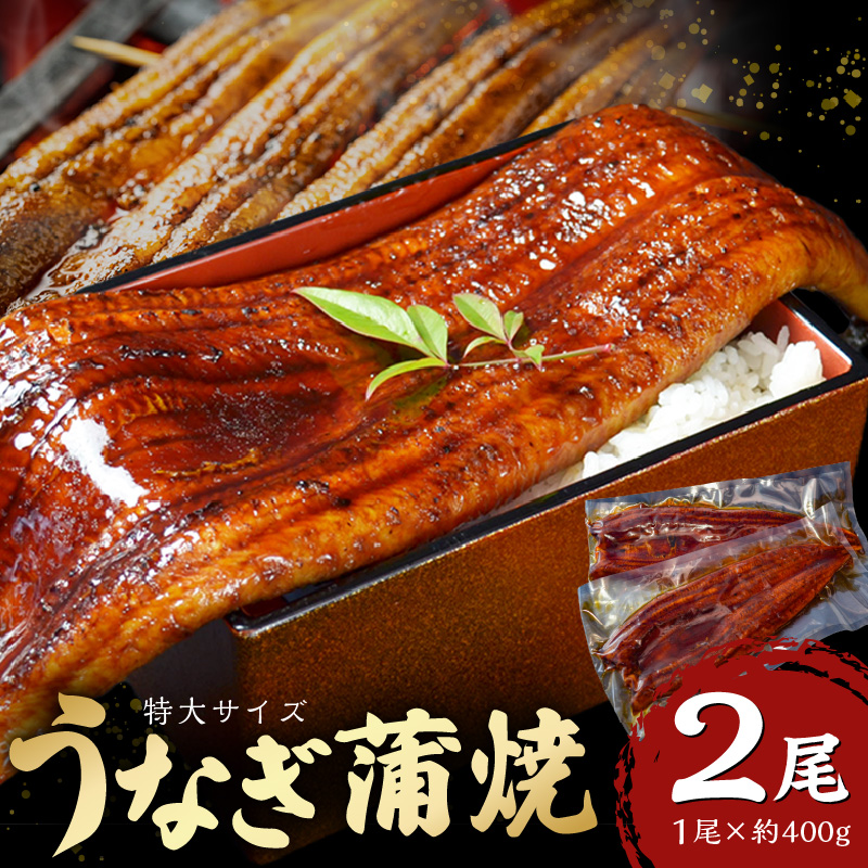 特大うなぎ蒲焼約400g×2尾_特大 うなぎ 蒲焼 無頭 約 400g 2尾 秘伝のタレ グルメ 食品 加工品 魚 魚介類 おかず 惣菜 ご飯のお供 酒の肴 うな丼 ひつまぶし お茶漬け 鰻巻き 冷凍 パック 太輔商事 福岡県 久留米市 お取り寄せ お取り寄せグルメ 送料無料_Cu027