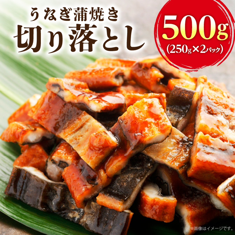 うなぎ蒲焼き切り落とし 徳用500g_うなぎ 蒲焼き 切り落とし250g × 2 計 500g 訳あり 端材 不揃い カット済み 便利 冷凍 切り身 う巻き お茶漬け おにぎり お蕎麦 魚介類 食品 惣菜 お取り寄せ 福岡県 久留米市 送料無料_Cu033