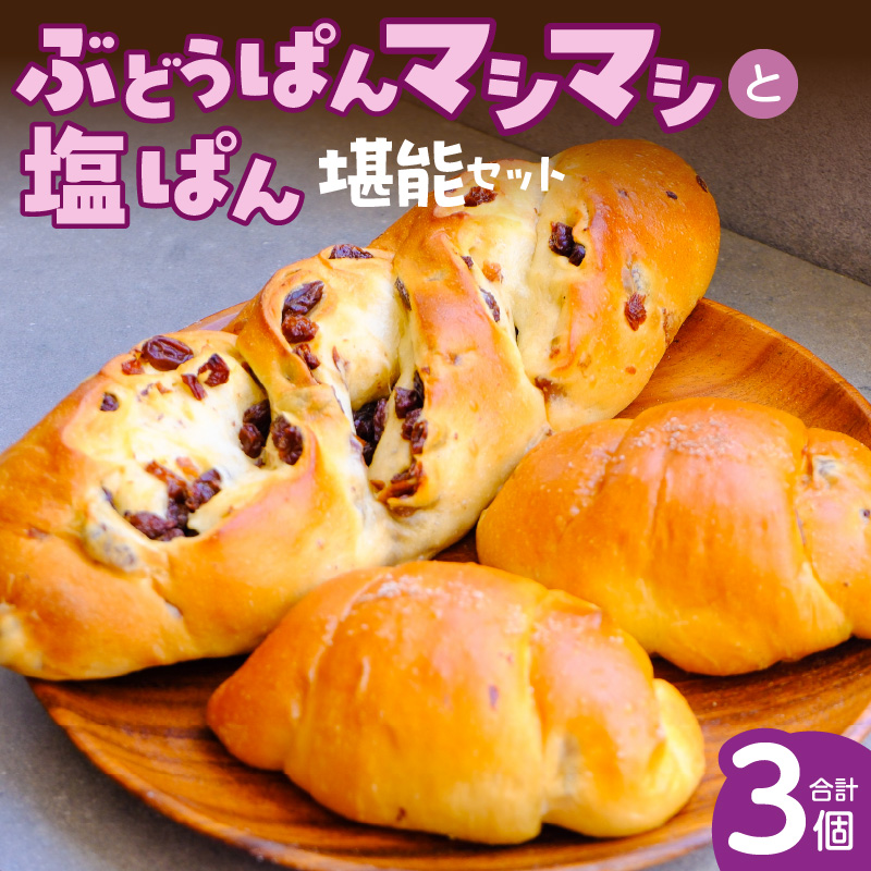 ぶどうぱんマシマシと塩ぱん　堪能セット _ ぶどうぱん 専門店 ぶどぱん 堪能 セット ぶどうぱん 1個 370g前後 塩ぱん × 2個 1個あたり70g前後 レーズン マシマシ しっとり もっちり 食パン生地 トースト 冷凍保存 朝食 昼食 ランチ お取り寄せ 福岡県 久留米市 送料無料 _Cx243