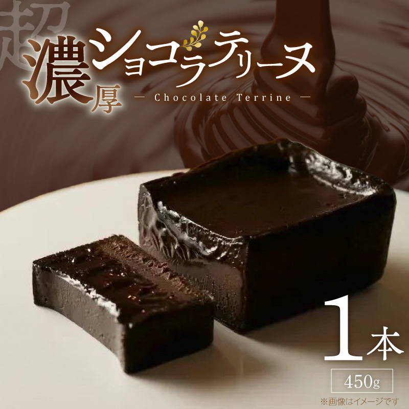 ＵＮＩ　ショコラテリーヌ _ ショコラ テリーヌ 450g × 1本 レア ガトーショコラ 濃厚 ねっとり 口当たり バニラアイス クッキー 相性がいい フォンダンショコラ お菓子 洋菓子 ケーキ スイーツ デザート おやつ お取り寄せ 福岡県 久留米市 送料無料 _Dw093