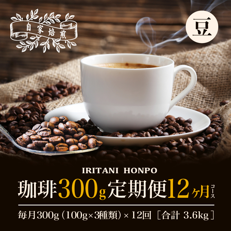 コーヒー300g 定期便12ヶ月コース 豆コース_定期便 12ヶ月 コーヒー 豆 各 100g 3種 合計 300g 小分け パック 飲み比べ 毎月 世界の生産地別のコーヒーが届く 産地 銘柄 発送時期によりランダムでお届け コーヒーブレイク コーヒータイム 飲み物 飲料類 お取り寄せ 送料無料_Ec110-B