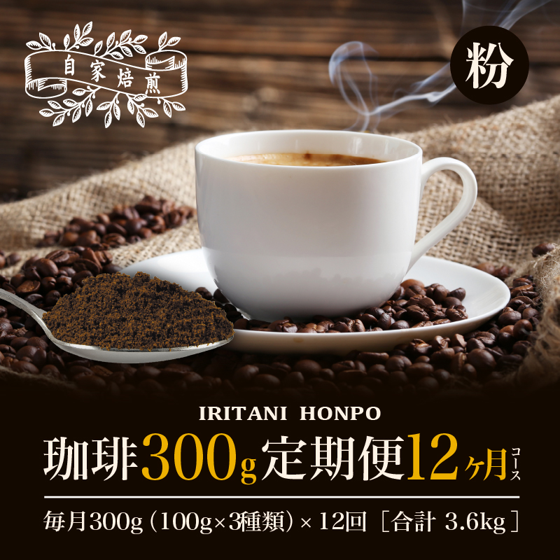 コーヒー300g 定期便12ヶ月コース 粉コース_定期便 12ヶ月 コーヒー 粉 各 100g 3種 合計 300g 小分け パック 飲み比べ 毎月 世界の生産地別のコーヒーが届く 産地 銘柄 発送時期によりランダムでお届け コーヒーブレイク コーヒータイム 飲み物 飲料類 お取り寄せ 送料無料_Ec110-P