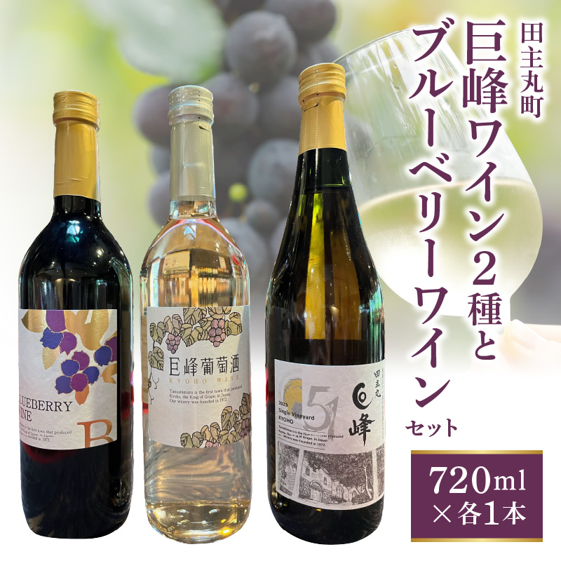 田主丸町巨峰ワイン二種とブルーベリーワインのセット_田主丸町 巨峰 ワイン 二種 ブルーベリーワイン 各 720ml × 1本 計 3本 セット 巨峰葡萄酒ドライ 辛口 すっきり ブルーベリー 甘口 濃厚 シングルヴィンヤード 巨峰白 中口 フルーティー 飲み比べ お取り寄せ_Ew013