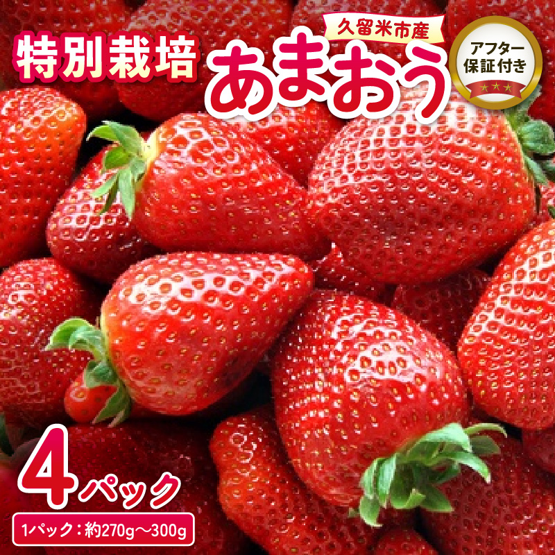 特別栽培あまおう 4パック ふくおかエコ農産物_いちご あまおう 約 270g ～ 300g 4パック 大粒 濃厚 甘い 特別栽培 安心 安全 冷蔵 果物 フルーツ ストロベリー アフター保証 スイーツ ケーキ スムージー ジャム デザート 福岡県産 福岡限定 ふくおかエコ農産物 国産 お取り寄せ 福岡県 久留米市 送料無料_Fi003