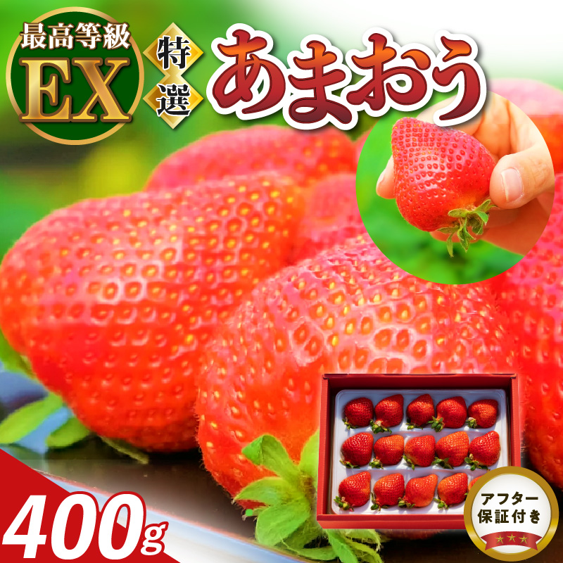 特選あまおう 400g_数量限定 いちご エクセレント 厳選 あまおう 400g 特別栽培 EX 認定農家 大きい うるう農園 福岡県 久留米市 採れたて 農家直送 フルーツ 果物 冷蔵 贈答用 一粒 丁寧な梱包 贈り物 お歳暮 お取り寄せ 送料無料_Fi006