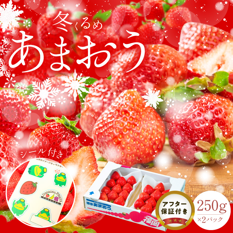 福岡産【冬】あまおう2パック_冬くるめ あまおう 250g × 2パック 合計 500g 冷蔵 濃厚 甘い 大粒 果汁 アフター保証 安心安全 国産 いちご 果物 アレンジ おやつ フルーツ スイーツ スムージー ジャム 南国フルーツ お取り寄せ 福岡県 久留米市 送料無料 福岡限定_Fi010