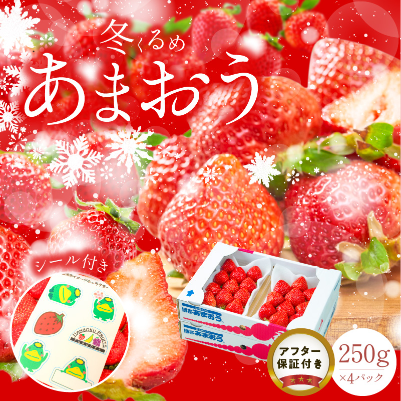 福岡産【冬】あまおう4パック_冬くるめ あまおう 250g × 4パック 合計 1kg 冷蔵 苺本来の味 濃厚 甘い 果汁 アフター保証 安心安全 国産 いちご 果物 アレンジ おやつ お菓子 タルト クッキー フルーツ スイーツ スムージー ジャム 南国フルーツ お取り寄せ 福岡県 久留米市 送料無料_Fi011