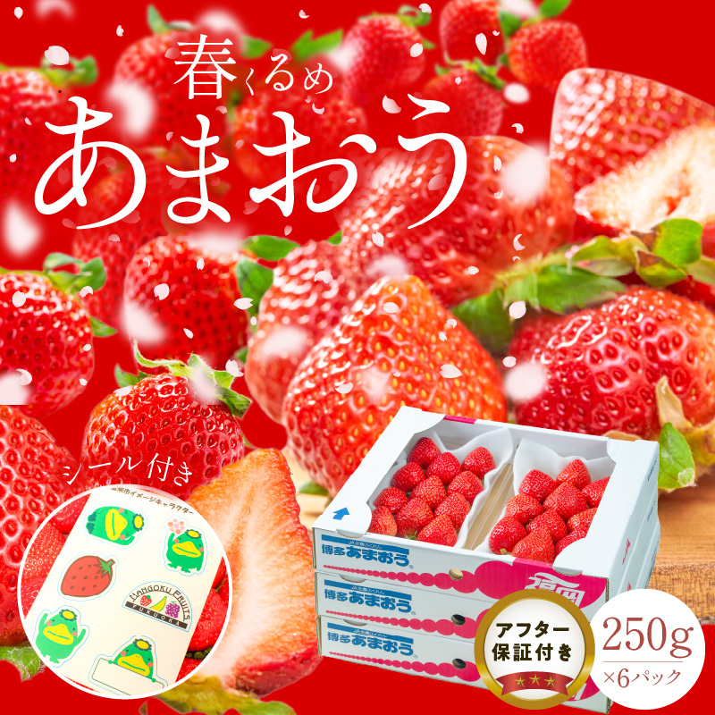 福岡産【春】あまおう6パック_春くるめ あまおう 250g × 6パック 合計 1.5kg 冷蔵 濃厚 甘い 果汁 アフター保証 安心安全 酸味 甘味 国産 いちご 果物 アレンジ おやつ フルーツ スイーツ スムージー ジャム 南国フルーツ お取り寄せ 福岡県 久留米市 送料無料_Fi013
