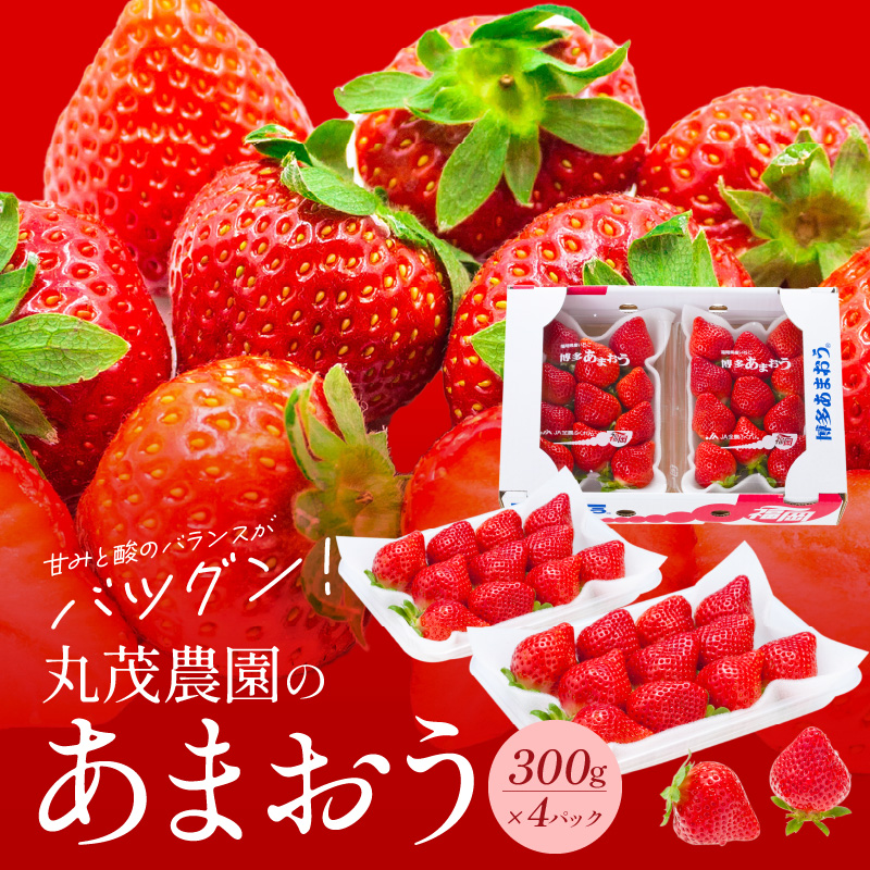 【2026年2月より順次発送】丸茂農園の福岡県産あまおう_丸茂農園の福岡県産あまおう いちご スイーツ 果物 デザート フルーツ 食べ方いろいろ ヨーグルト アイス ジャム 甘み 旬 酸味 濃厚 赤い 丸い 大きい うまい 肉厚 いちごの王様 お取り寄せ お取り寄せスイーツ 福岡県 久留米市 広川町 送料無料_Fi037