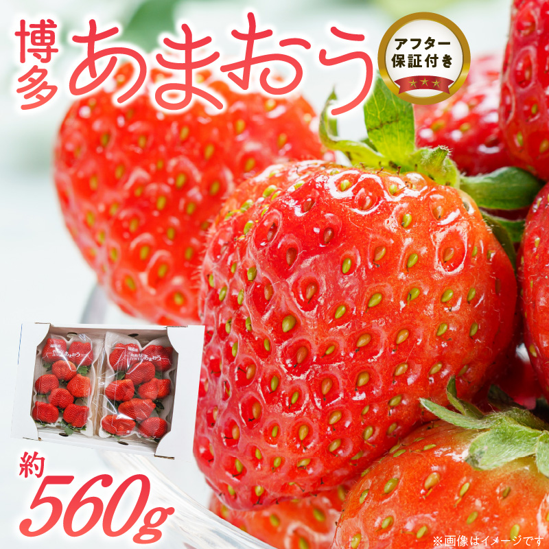 福岡県産あまおういちご　約280g以上×2パック（大粒）【12月〜2月発送】_いちご あまおう 約280g 以上 × 2パック 約560g 大粒 果物 フルーツ みずみずしい ジューシー 甘み 酸味 濃厚 ストロベリー パフェ ショートケーキ パンケーキ スムージー サンドイッチ ジャム お菓子作り 福岡県産 久留米市 お取り寄せ 送料無料_Fi054