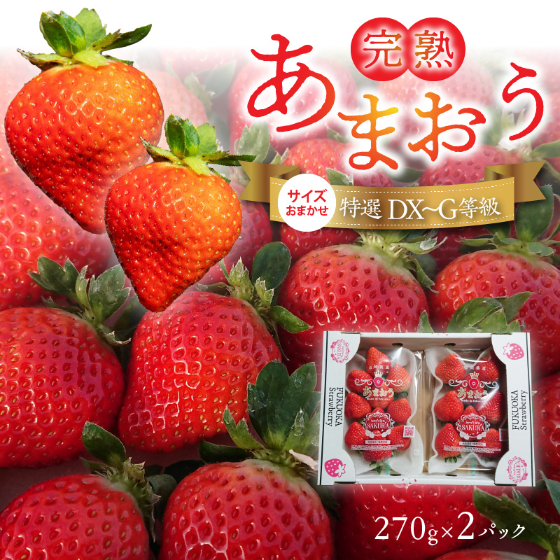 福岡県産【特別栽培】サイズおまかせ（DX～G等級）完熟あまおう　270g×2パック