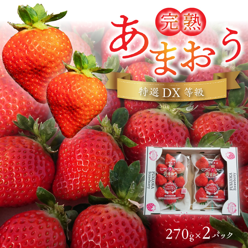 福岡県産【特別栽培】特選DX等級完熟あまおう　270g×2パック_福岡県産 特別栽培 特選 DX等級 完熟 あまおう 270g × 2パック 計 540g 自然の恵み 濃厚 大粒 ジューシー 朝採れ いちご 宙づり ハンモック構造 贈答用 フルーツ デザート お取り寄せ 福岡県 久留米市 送料無料_Fi057