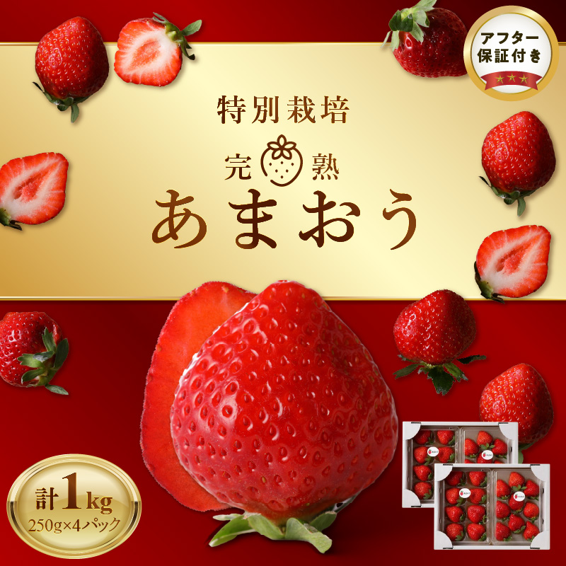池田農園の特別栽培完熟あまおう　250g×4パック_池田農園 特別栽培 完熟 あまおう 250g×4パック 糖度 酸味 安心安全 栄養価が高い 福岡エコ農産物 いちご 果物 フルーツ スイーツ いちご煮 いちごジャム スムージー おやつ ストロベリー ゆりかーご お取り寄せ 贈り物 福岡県 久留米市 送料無料_Fi064