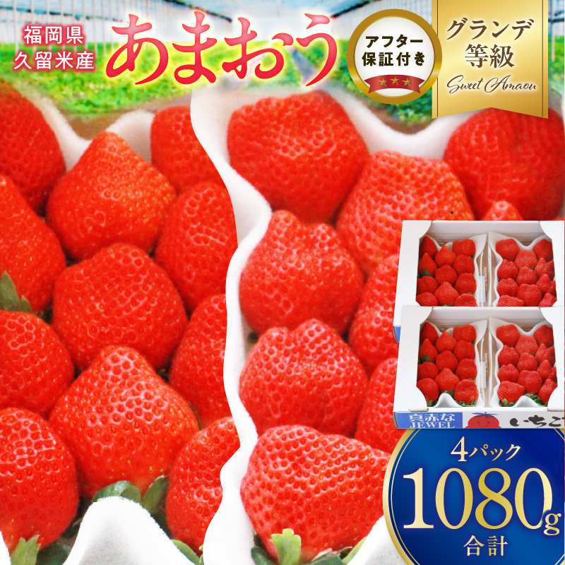 いちごの王様！【あまおうグランデサイズ】３玉～1５玉（４パック）１月から発送_あまおう グランデ 等級 約 270g 3～15玉 予約 完熟 贈答用 いちごの王様 大粒 ブランドいちご 土耕栽培 朝一番収穫 即日発送 お取り寄せ 福岡県 久留米市 送料無料_Fi071