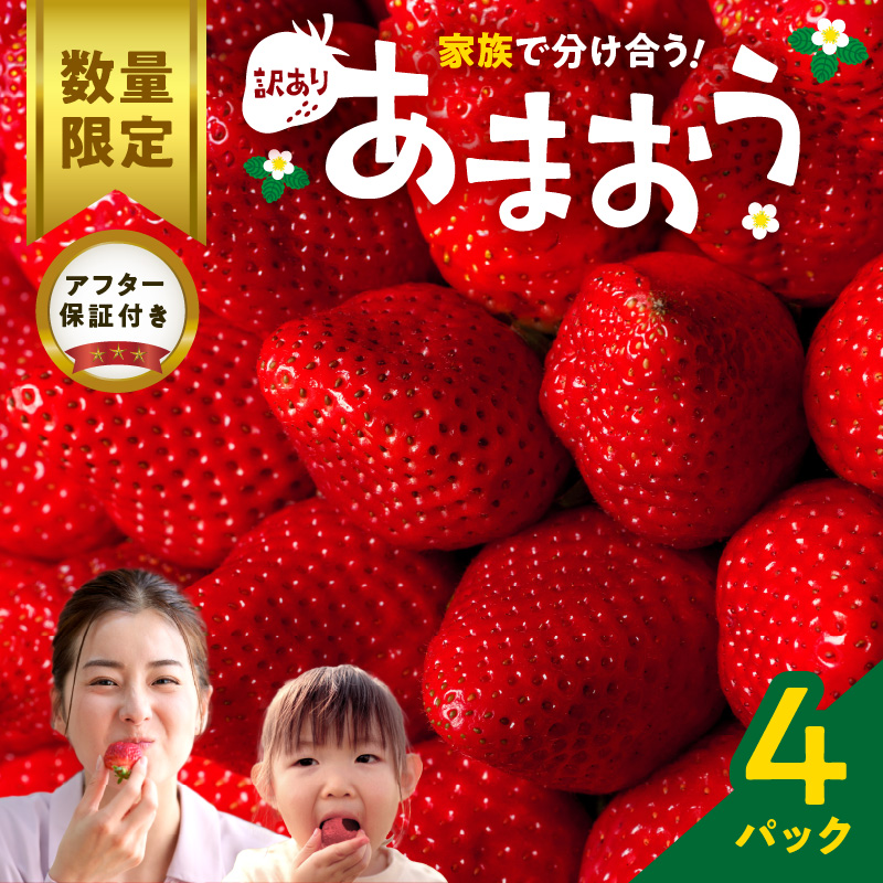 【数量限定】【訳あり】ファミリー向け あまおう約270g×4パック_あまおう 270g 4パック 国産 福岡県産 ブランドいちご アフター保証 食べ方いろいろ 甘い 果物 フルーツ ストロベリー 苺 エコファーマー認定農家 お取り寄せ スイーツ デザート 家庭用 福岡県 久留米市 送料無料_Fi072 4パック