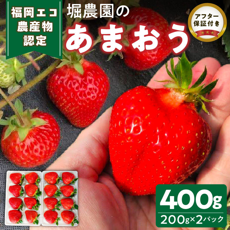 福岡県エコ農産物認定　堀農園のあまおう400g_エコ農産物認定 堀農園 あまおう 200g × 2パック 計 400g 完熟 食べ頃 いちご チルド便 大粒 甘み 程よい 酸味 バランス 絶妙 果汁 ジューシー お取り寄せ 福岡県 久留米市 送料無料_Fi074