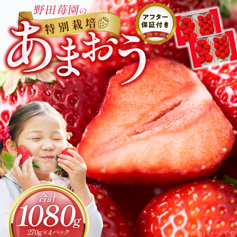 苺（あまおう）270g×2パック×2箱 _ あまおう 270g 2パック 2箱 計 1080g 福岡県産 いちご ストロベリー 特別栽培 認証 アフター保証 安心 安全 艶 果物 果汁 フルーツ スイーツ デザート 冷蔵 福岡県 久留米市 お取り寄せ 送料無料 _Fi076