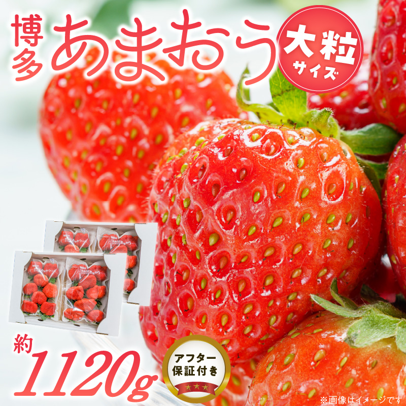 福岡県産あまおういちご　約280g以上×4パック（大粒）【3月～4月発送】 _ いちご あまおう 大粒 4パック 宇佐川農園 果物 フルーツ みずみずしい ジューシー 甘味 酸味 濃厚 ストロベリー パフェ ショートケーキ パンケーキ スムージー サンドイッチ ジャム 福岡県産 久留米市 お取り寄せ 送料無料 _Fi077-02 大粒：約280g以上×4パック