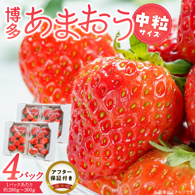 福岡県産あまおういちご　280g～300g×4パック（中粒）【3月～4月発送】 _ いちご あまおう 中粒 4パック 宇佐川農園 果物 フルーツ みずみずしい ジューシー 甘味 酸味 濃厚 ストロベリー パフェ ショートケーキ パンケーキ スムージー サンドイッチ ジャム 福岡県産 久留米市 お取り寄せ 送料無料 _Fi077-03 中粒：280g～300g×4パック