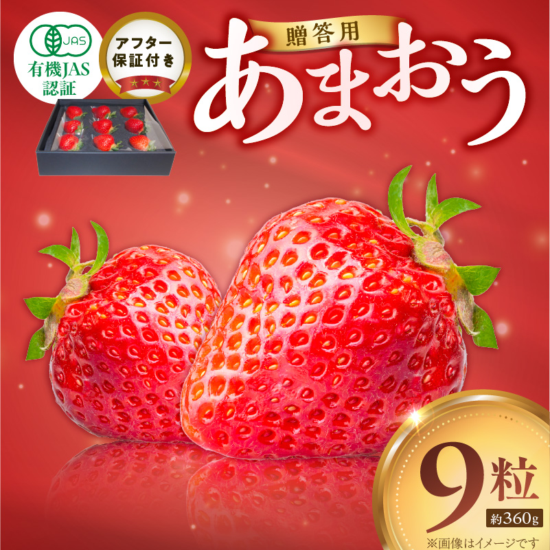 贈答用有機あまおうギフト9粒（約360g） _ 贈答用 有機 あまおう ギフト用 9粒 約 360g オーガニック いちご ストロベリー 特別栽培 認証 アフター保証付き 安心 安全 上品な甘さ 艶 ジューシー 果物 果汁 フルーツ スイーツ デザート 冷蔵 贈り物 お取り寄せ 福岡県 久留米市 送料無料 _Fi079