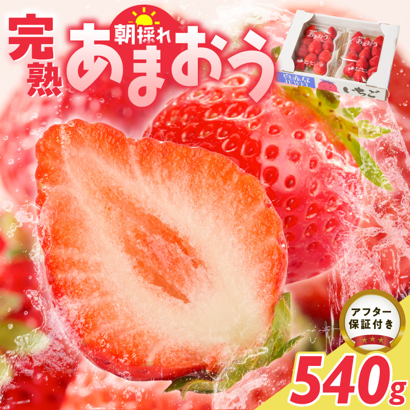 増永農園　福岡県産あまおう　270g×2パック _ 270g 2パック 高級特産品 あまおう 福岡県産 朝採れ 新鮮 こだわり いちご とれたて ブランドいちご フルーツ 果物 デザート スイーツ お取り寄せ 福岡県 久留米市 送料無料 _ Fi080-02 270g×2パック