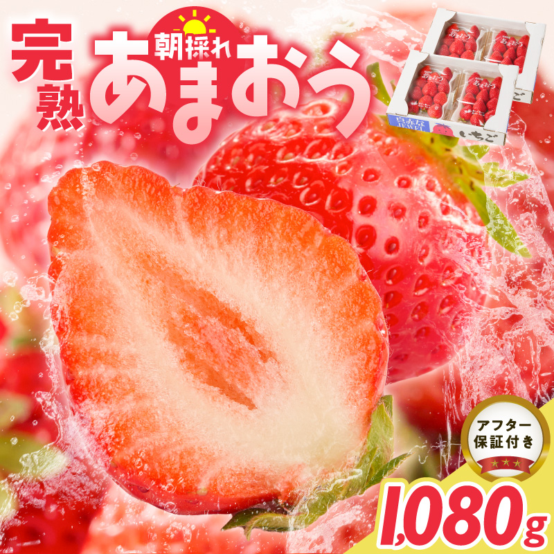 増永農園　福岡県産あまおう　270g×4パック _ 270g 4パック 高級特産品 あまおう 福岡県産 朝採れ 新鮮 こだわり いちご とれたて ブランドいちご フルーツ 果物 デザート スイーツ お取り寄せ 福岡県 久留米市 送料無料 _ Fi080-04 270g×4パック