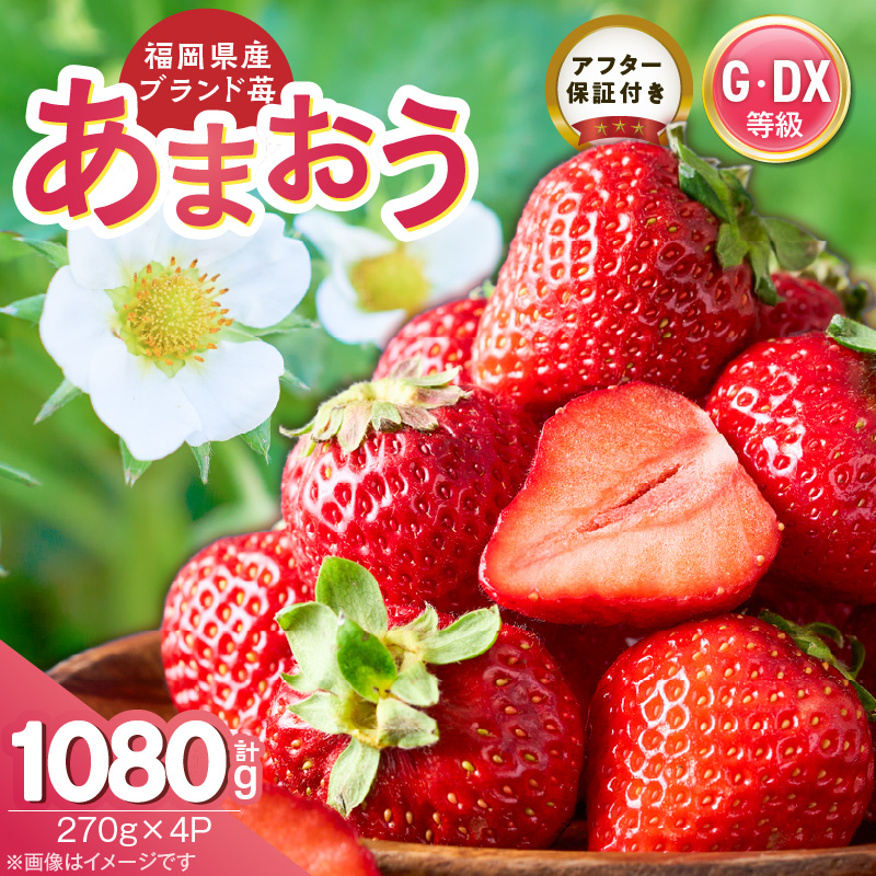 【2026年3月下旬より順次発送】あまおう苺（270g×4P） _ あまおう いちご 270g 4パック グレード グランデ デラックス アフター保証 ストロベリー 甘み 酸味 濃厚 果物 果汁 フルーツ おやつ スイーツ ケーキ スムージー ジャム デザート 食品 冷蔵 お取り寄せ 福岡県 久留米市 送料無料 _Fi082
